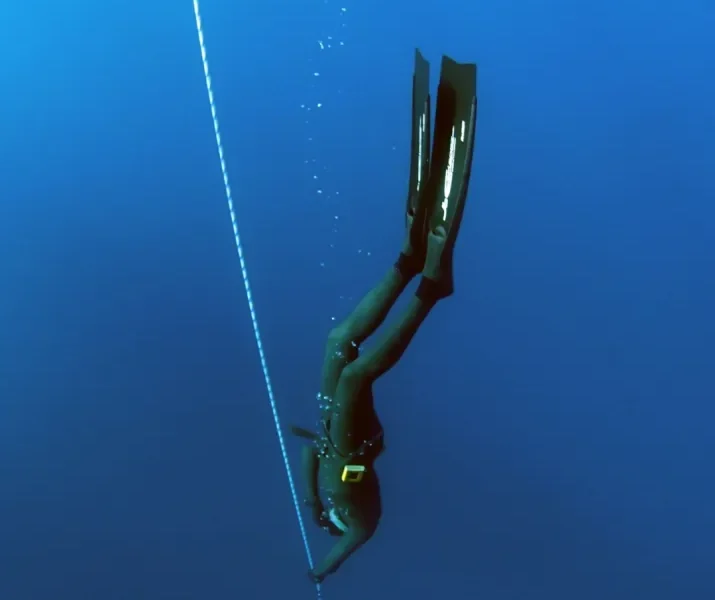 freedive